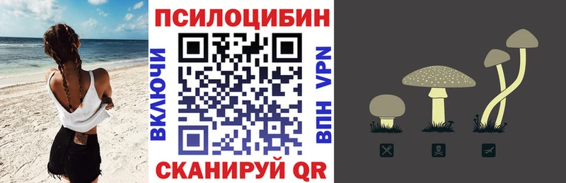 Псилоцибиновые грибы MAGIC MUSHROOMS  Боготол 